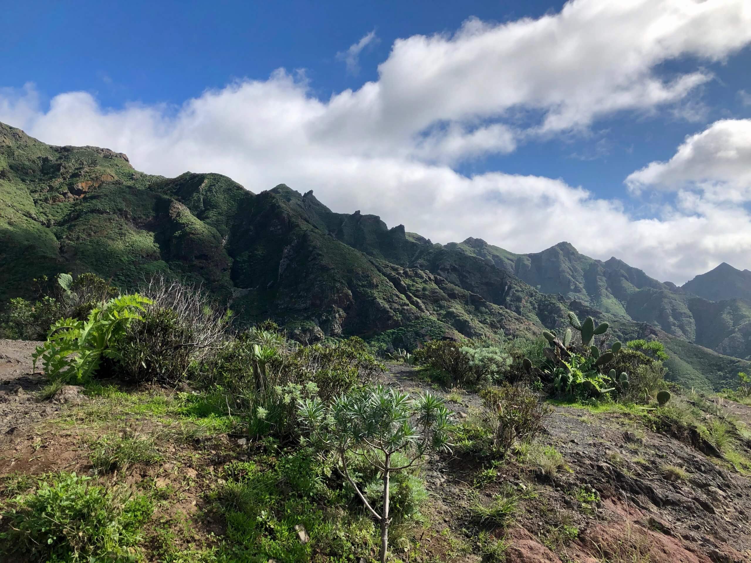 anaga park in tenerife spain