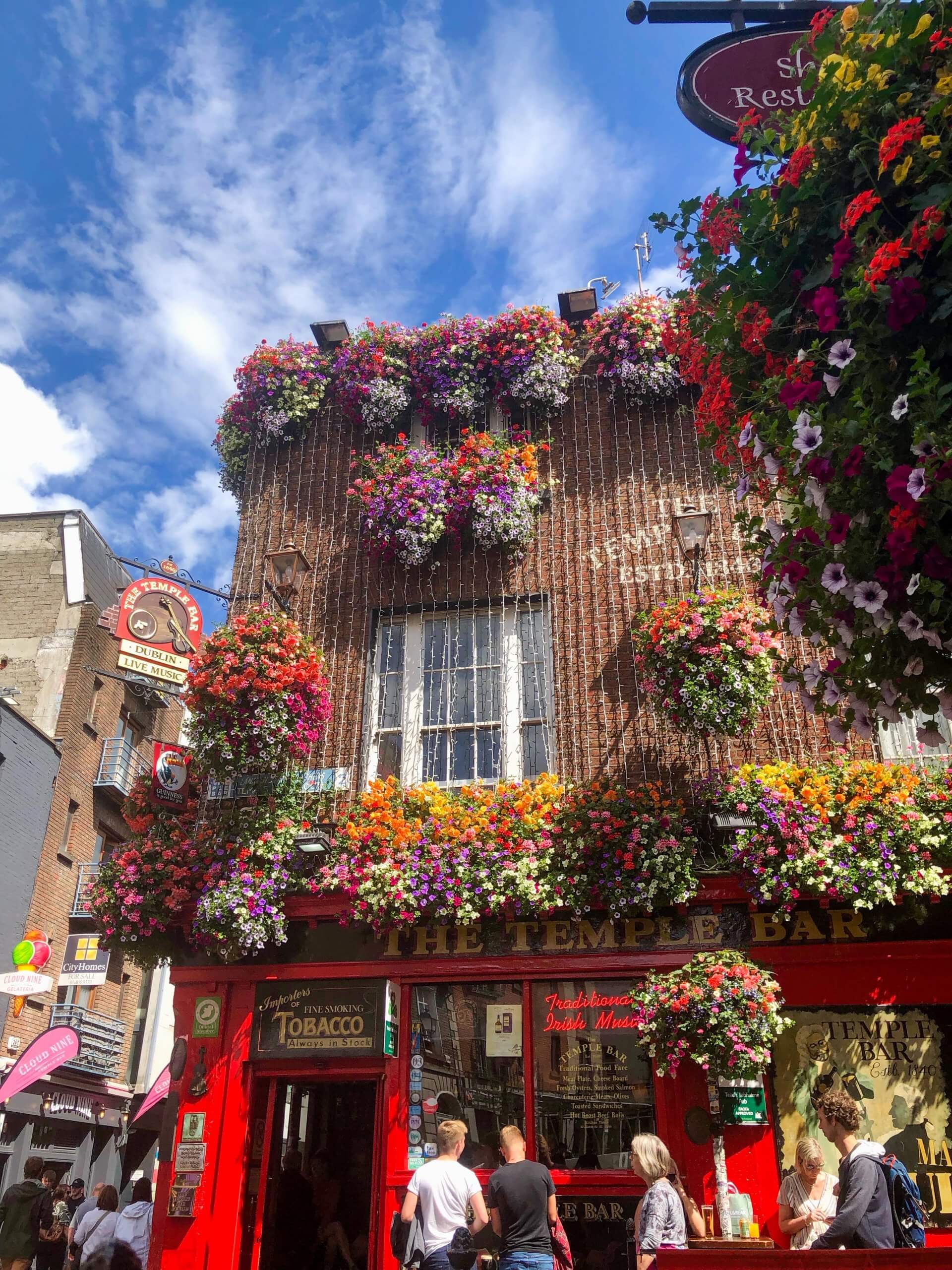 temple bar flowers in dublin ireland