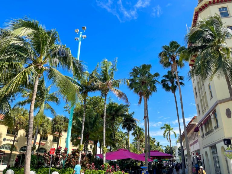 lincoln road mall in Miami Florida