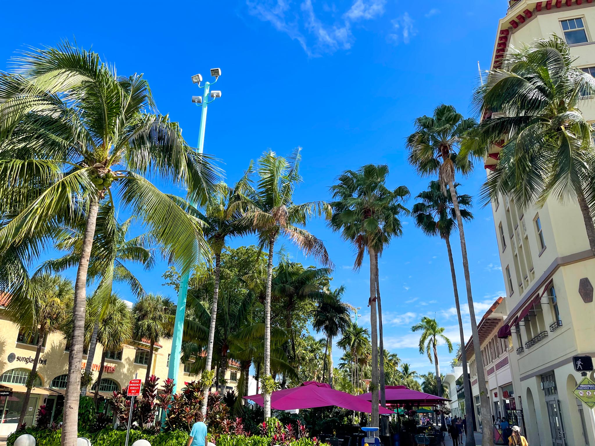 lincoln road mall in Miami Florida