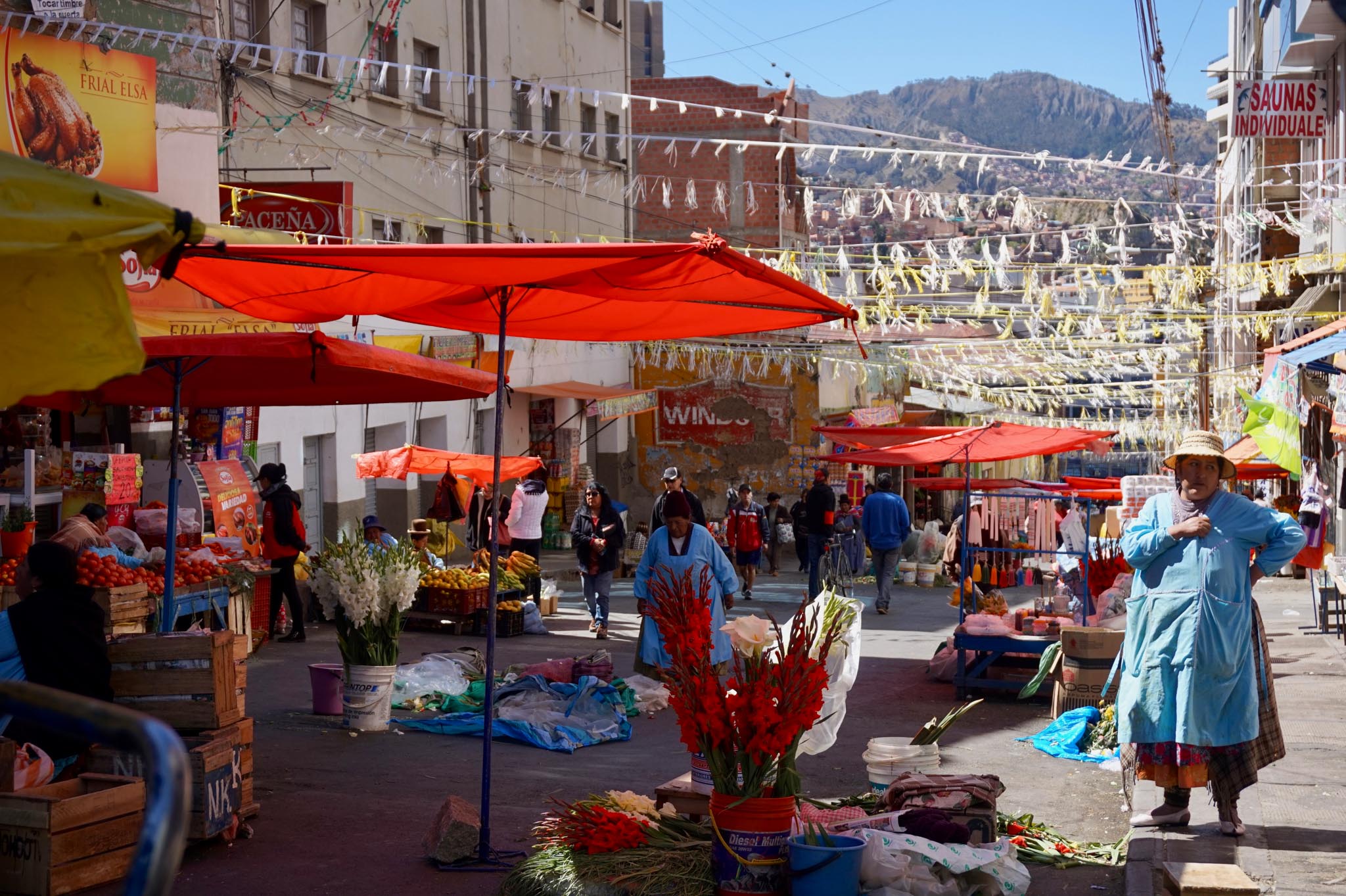 La Paz Itinerary: The Highest City In The World » Perfect Day Somewhere