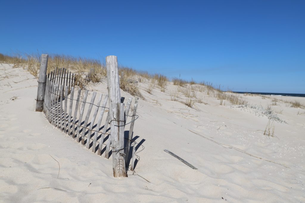 New Jersey Guides - Perfect Day Somewhere