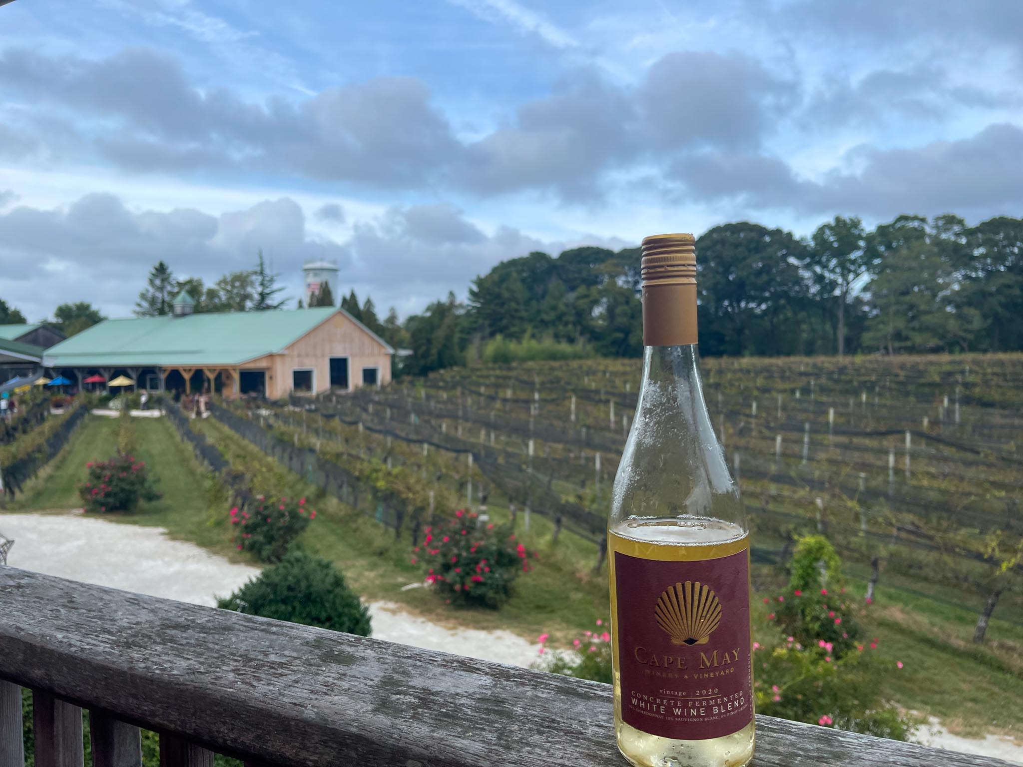 cape may winery white blend
