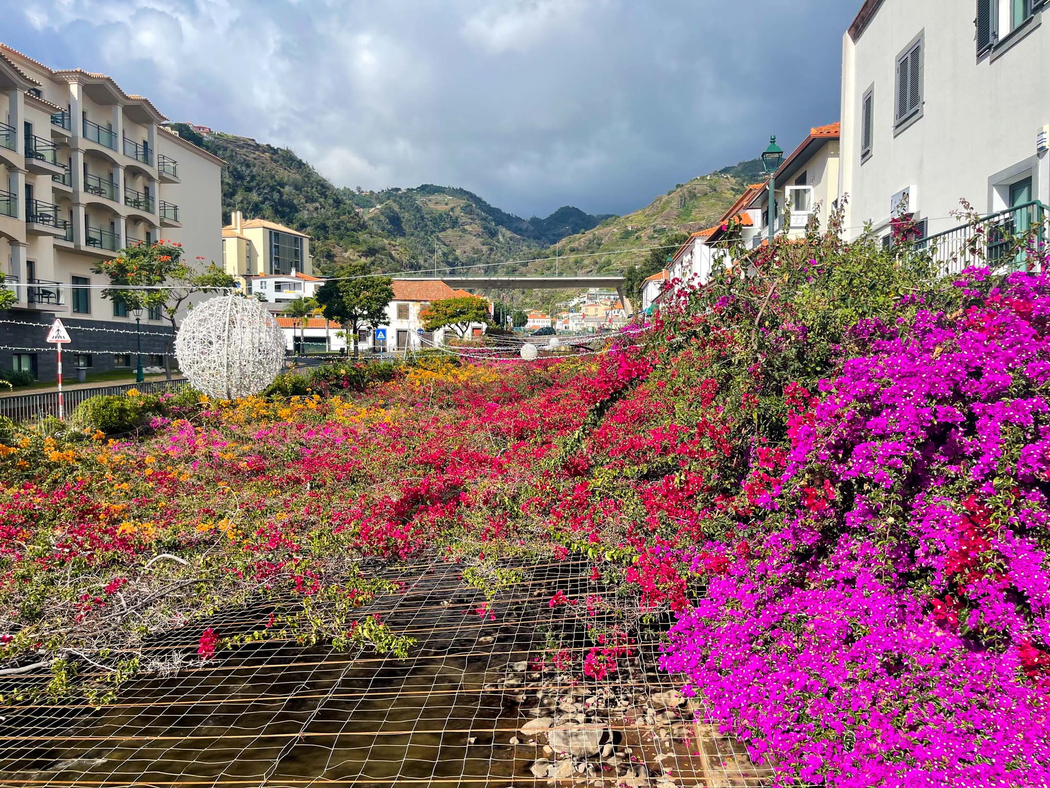 A glass of Madeira wine with a vineyard in the background