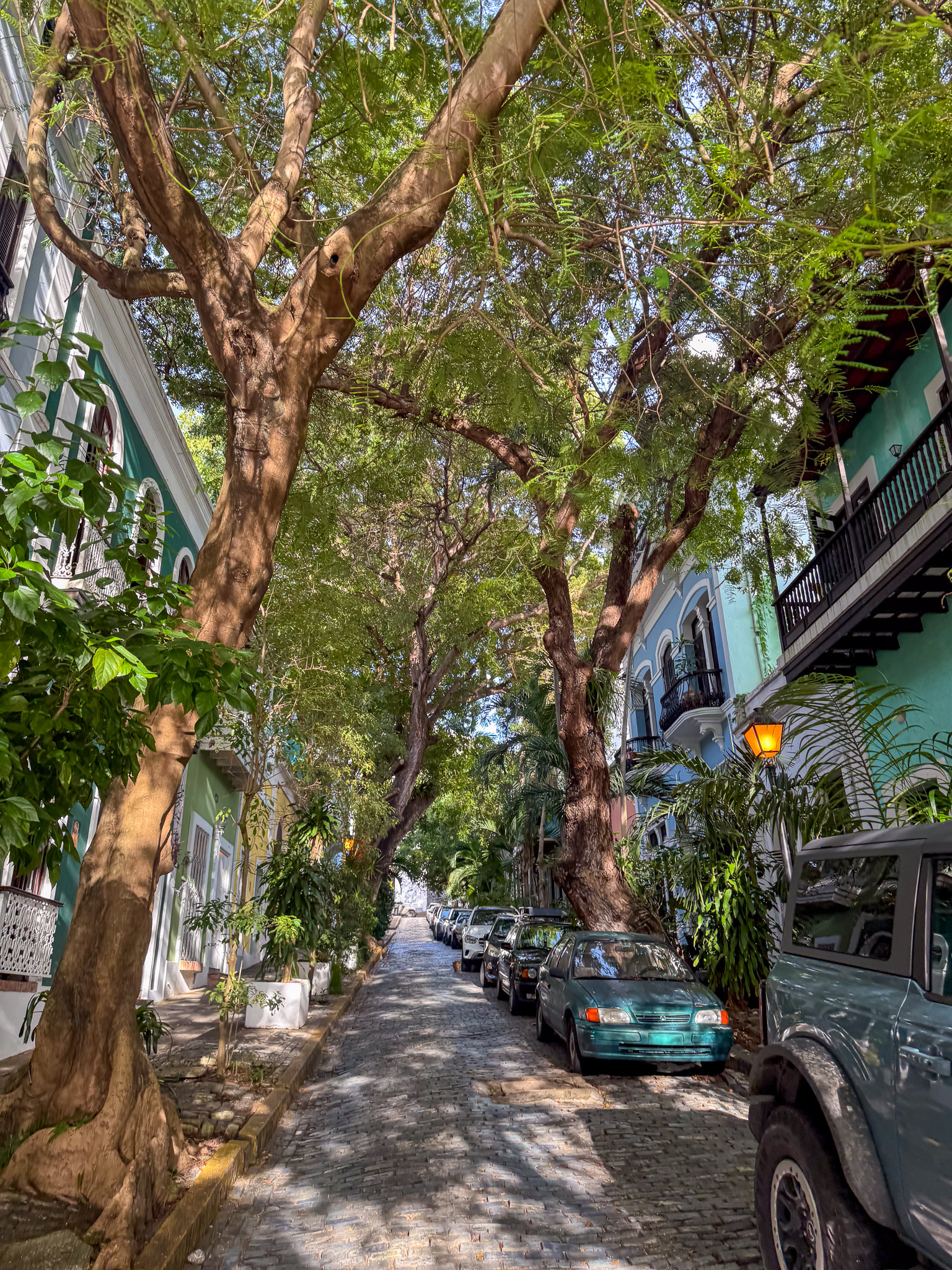 IMG 1848 North America