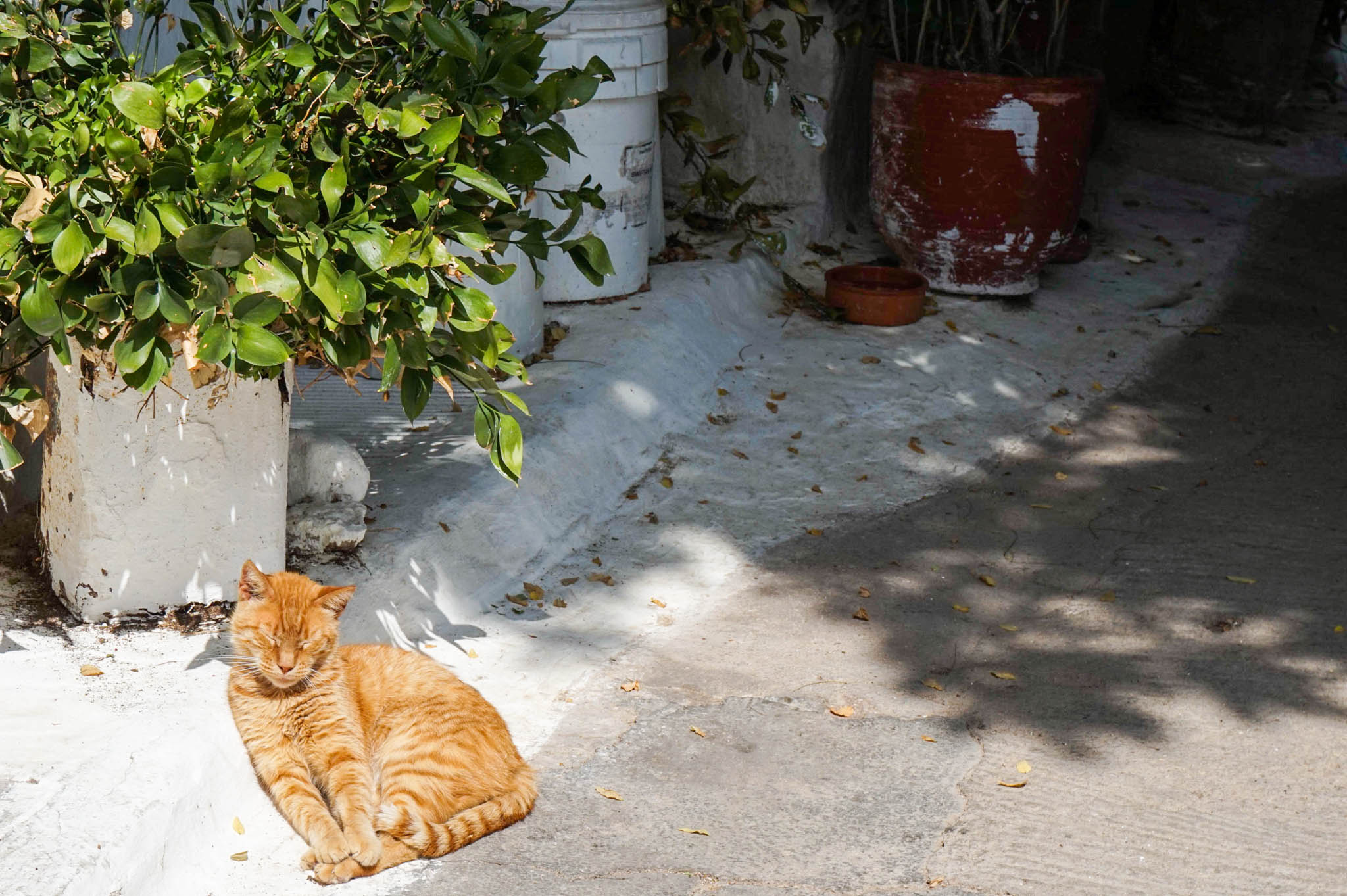 DSC00690 1 Greece