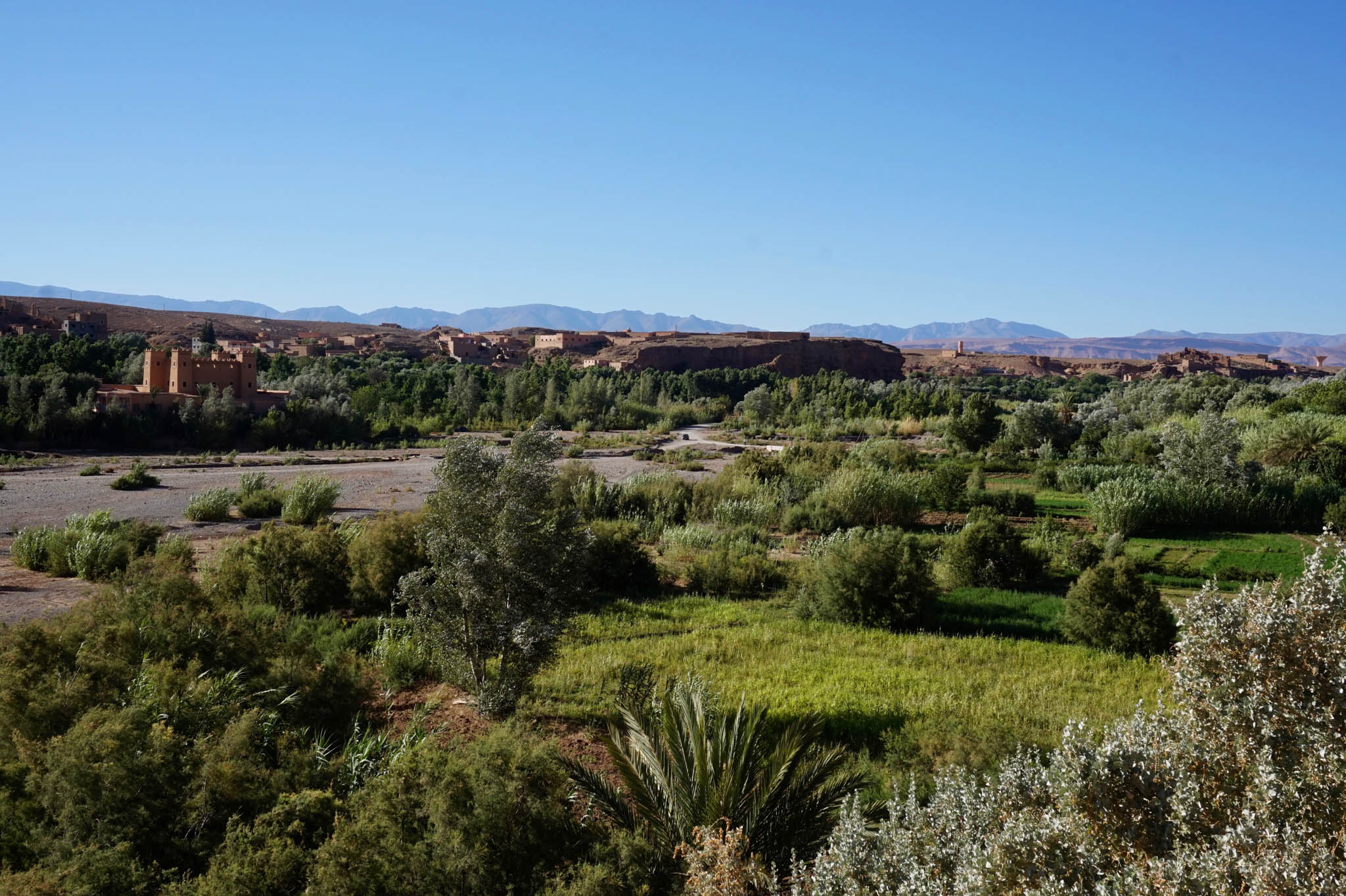 DSC05008 Morocco