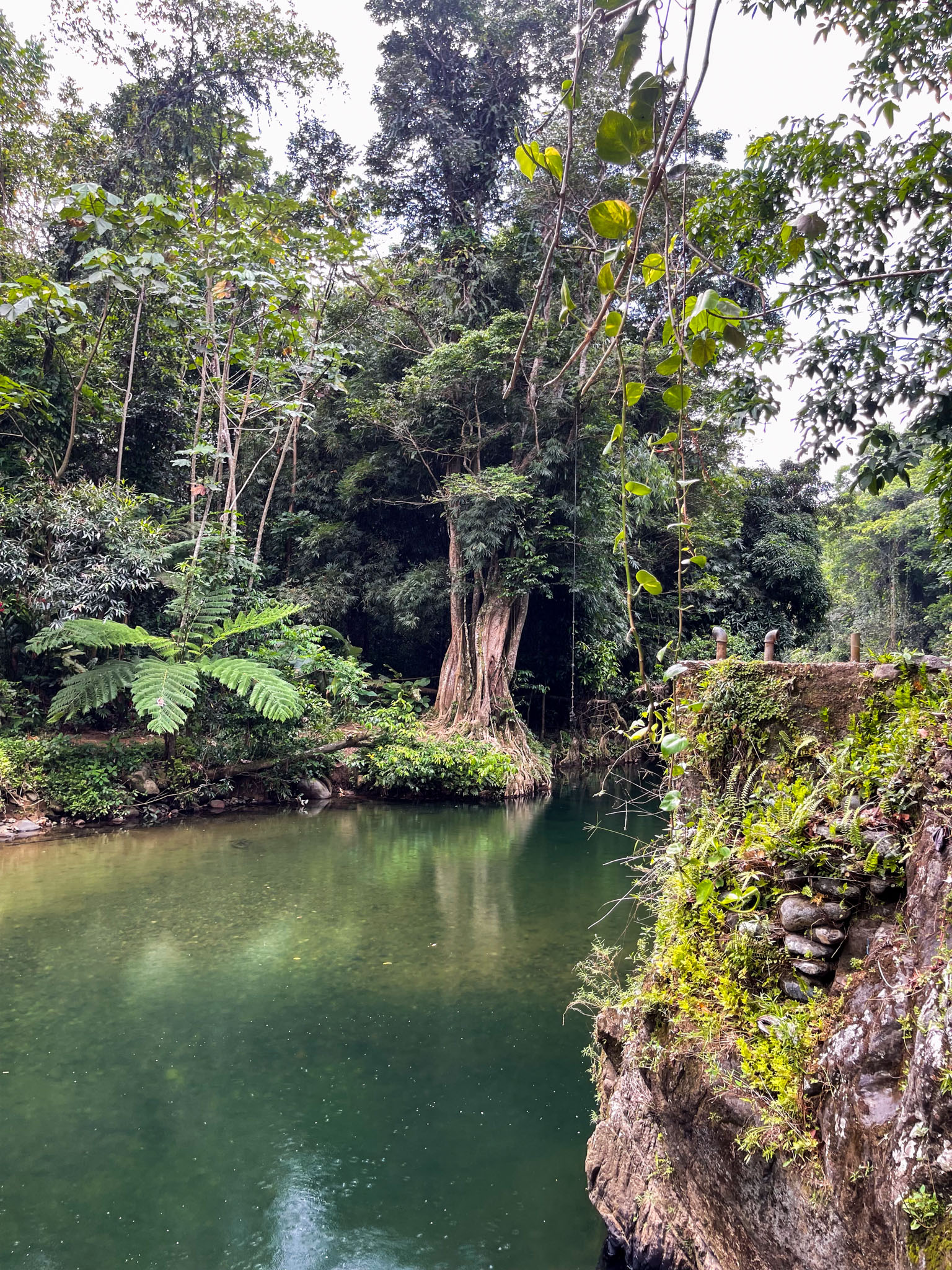 IMG 5584 North America