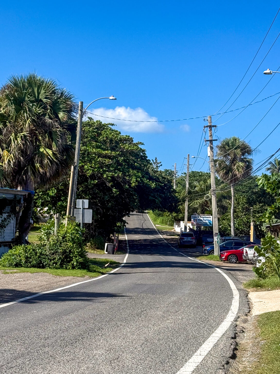 Puerto Rico Driver Driving in Puerto Rico (2026): What Tourists Need to Know Before ...