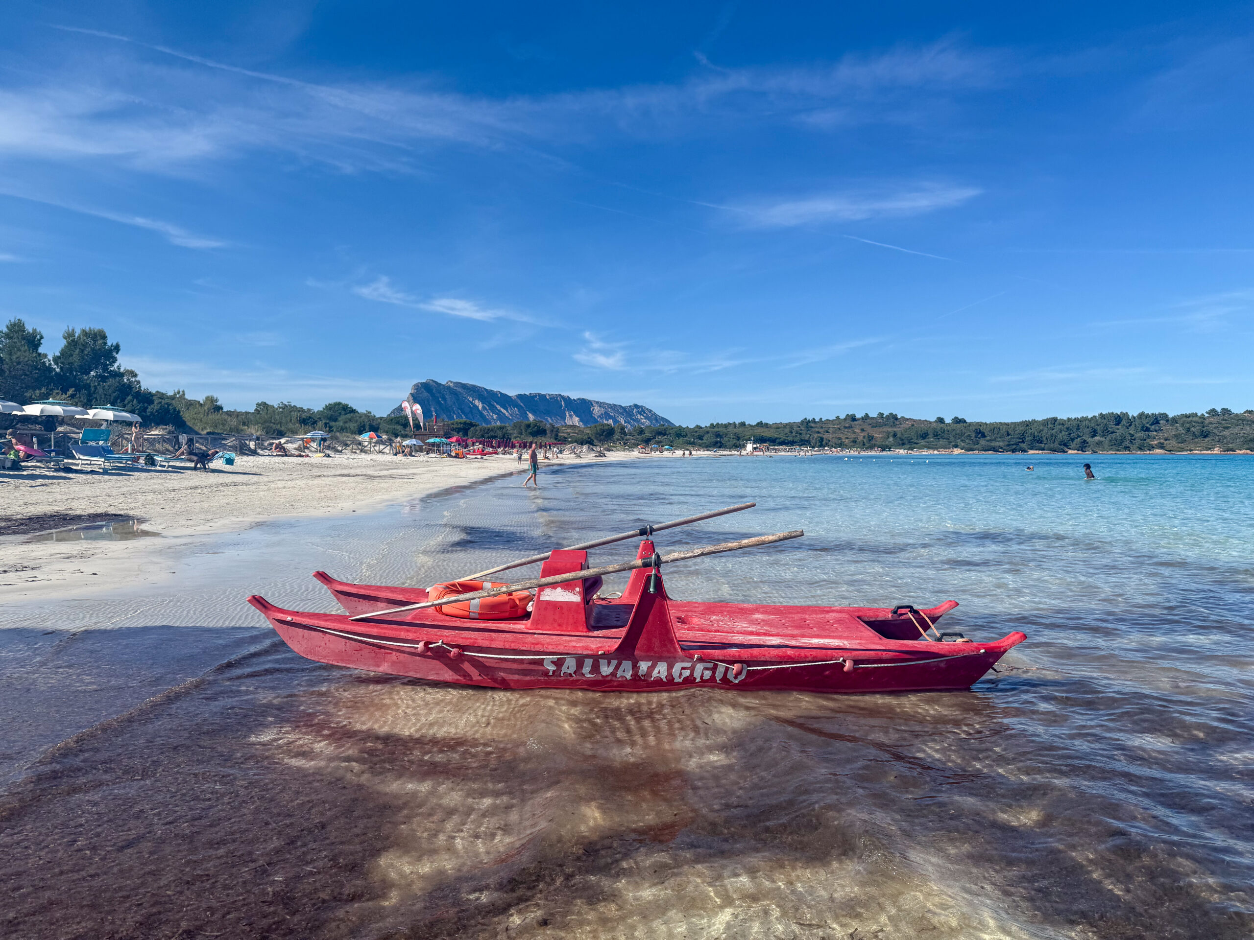 IMG 2514 scaled Caribbean