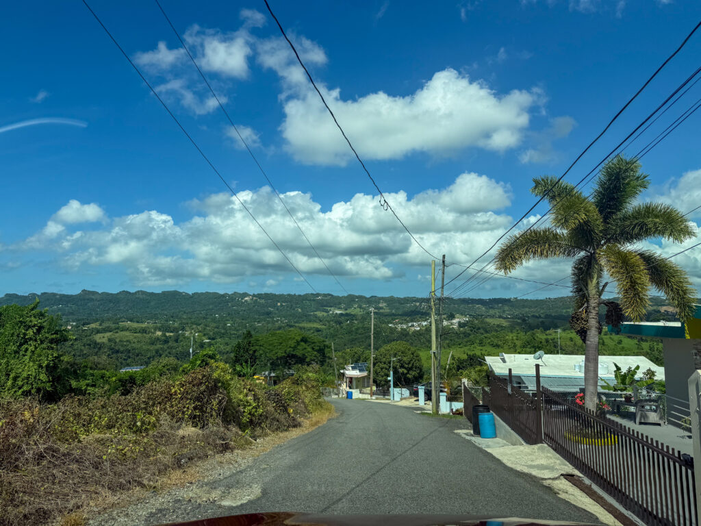 IMG 2955 1 Caribbean