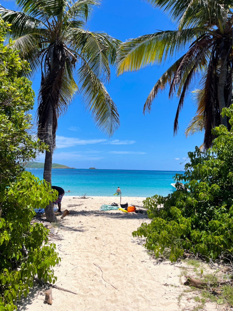 IMG 8079 1 Caribbean