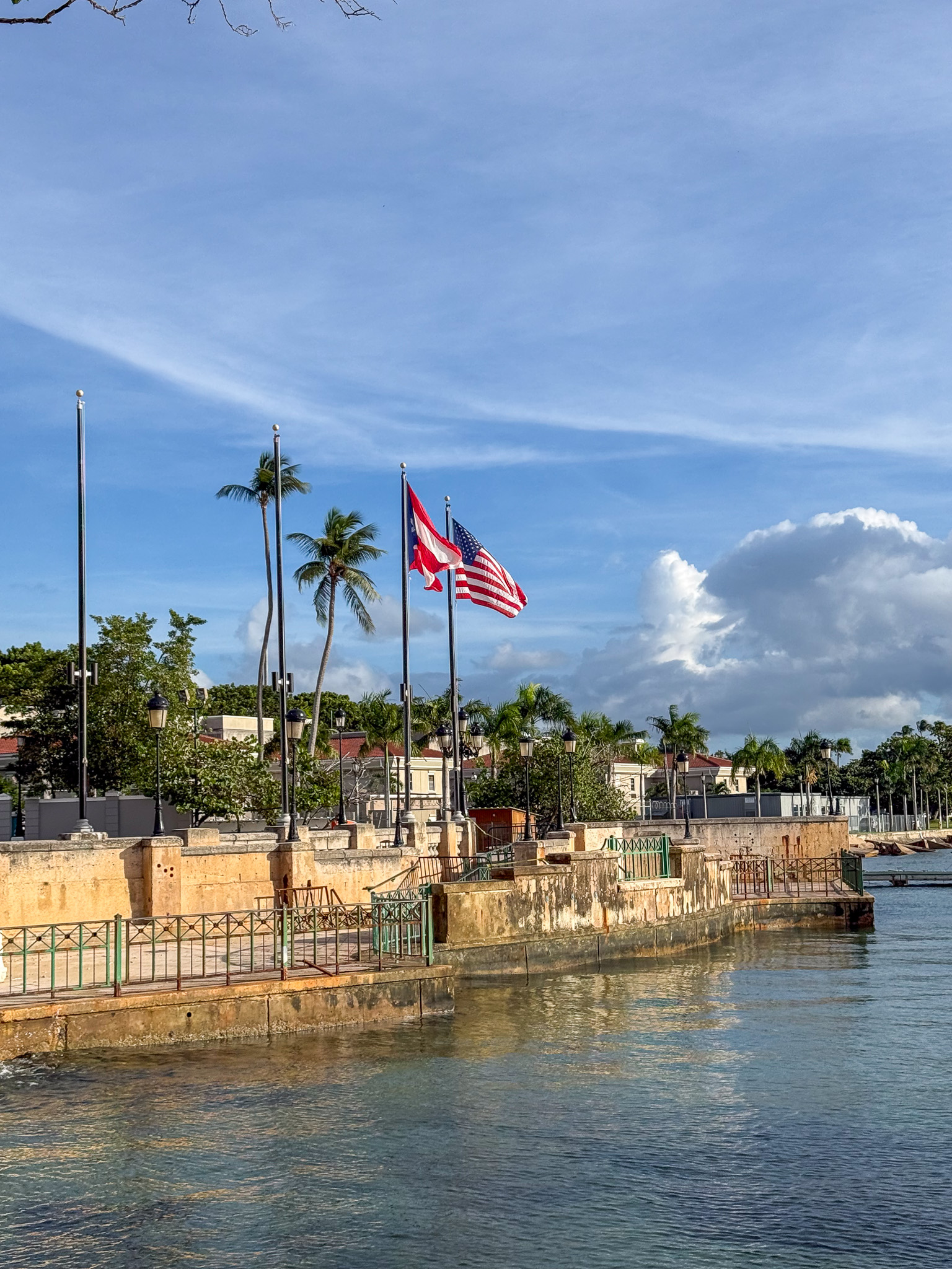 IMG 1847 North America