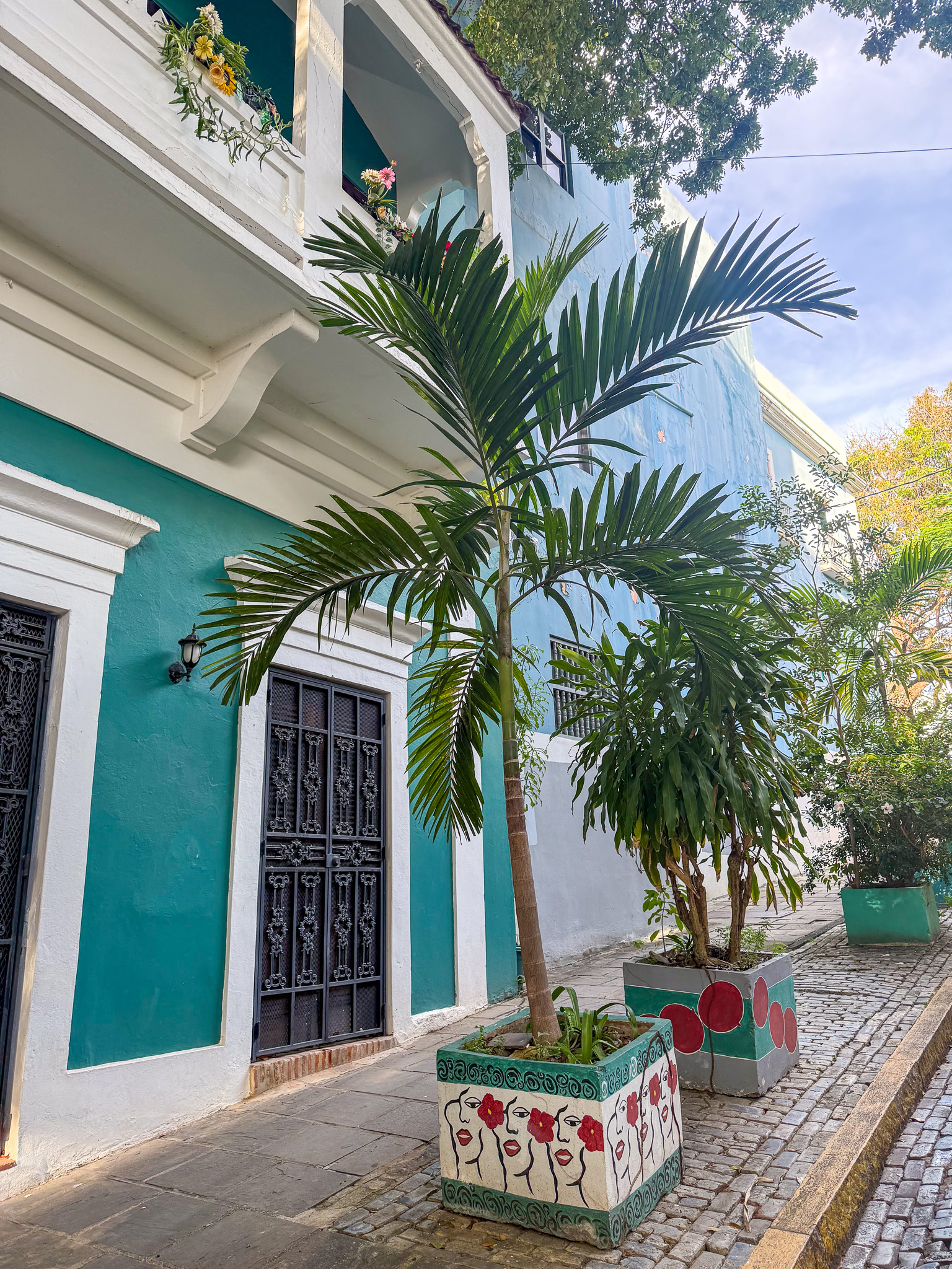 IMG 1851 North America