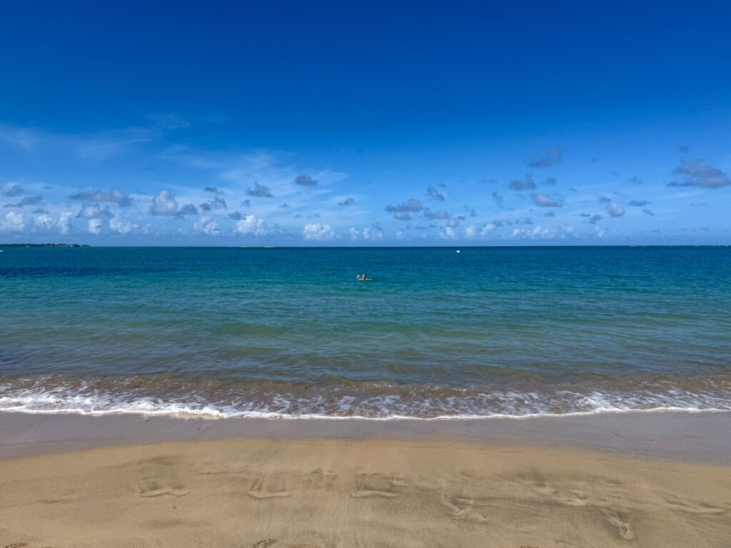 IMG 2071 North America