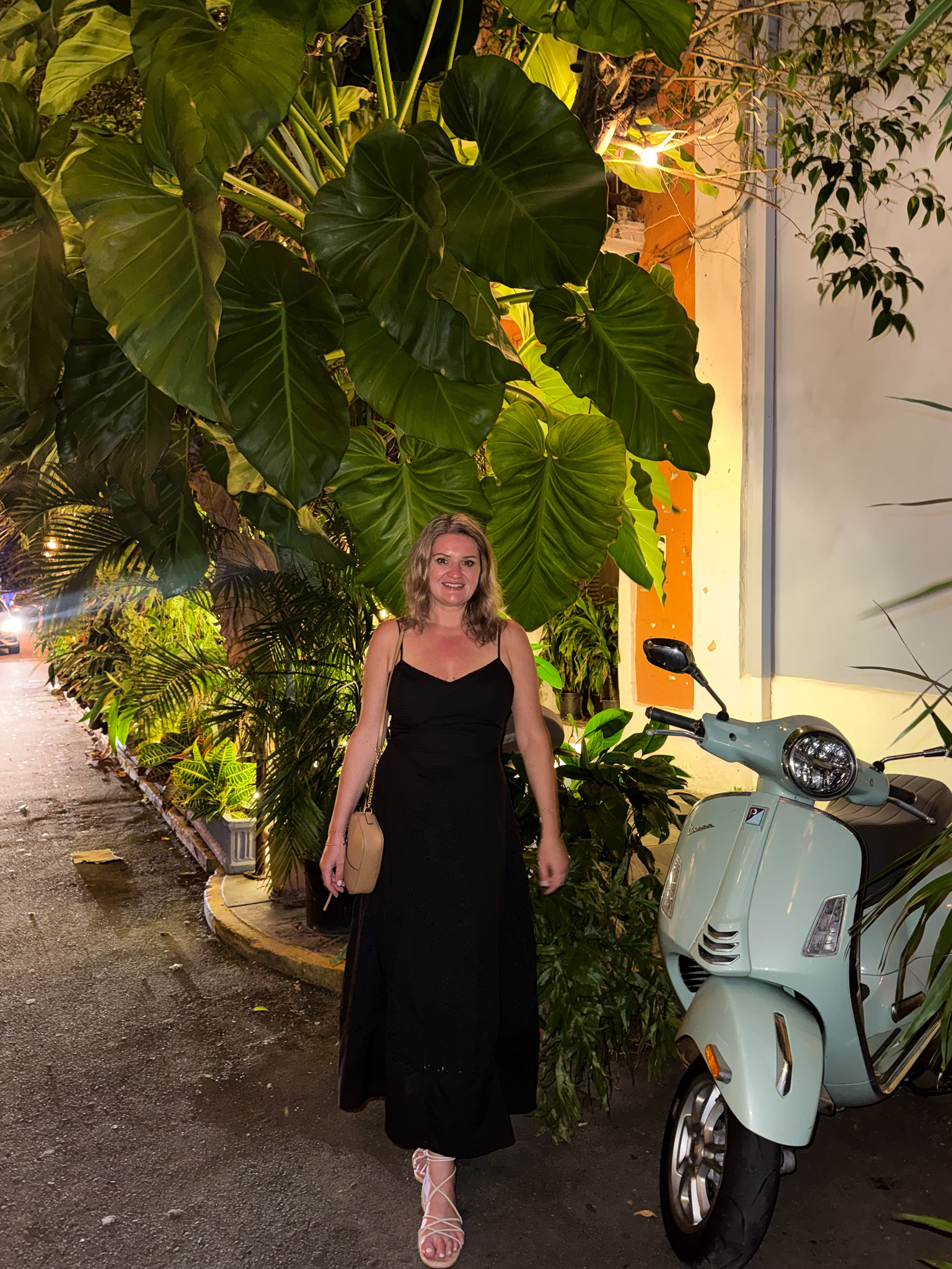 IMG 2178 North America