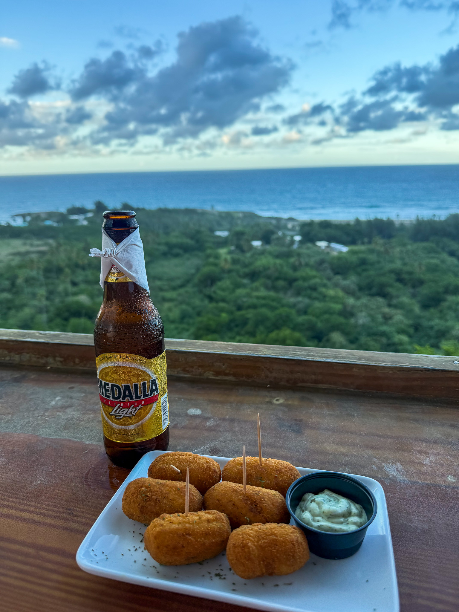 IMG 2375 North America