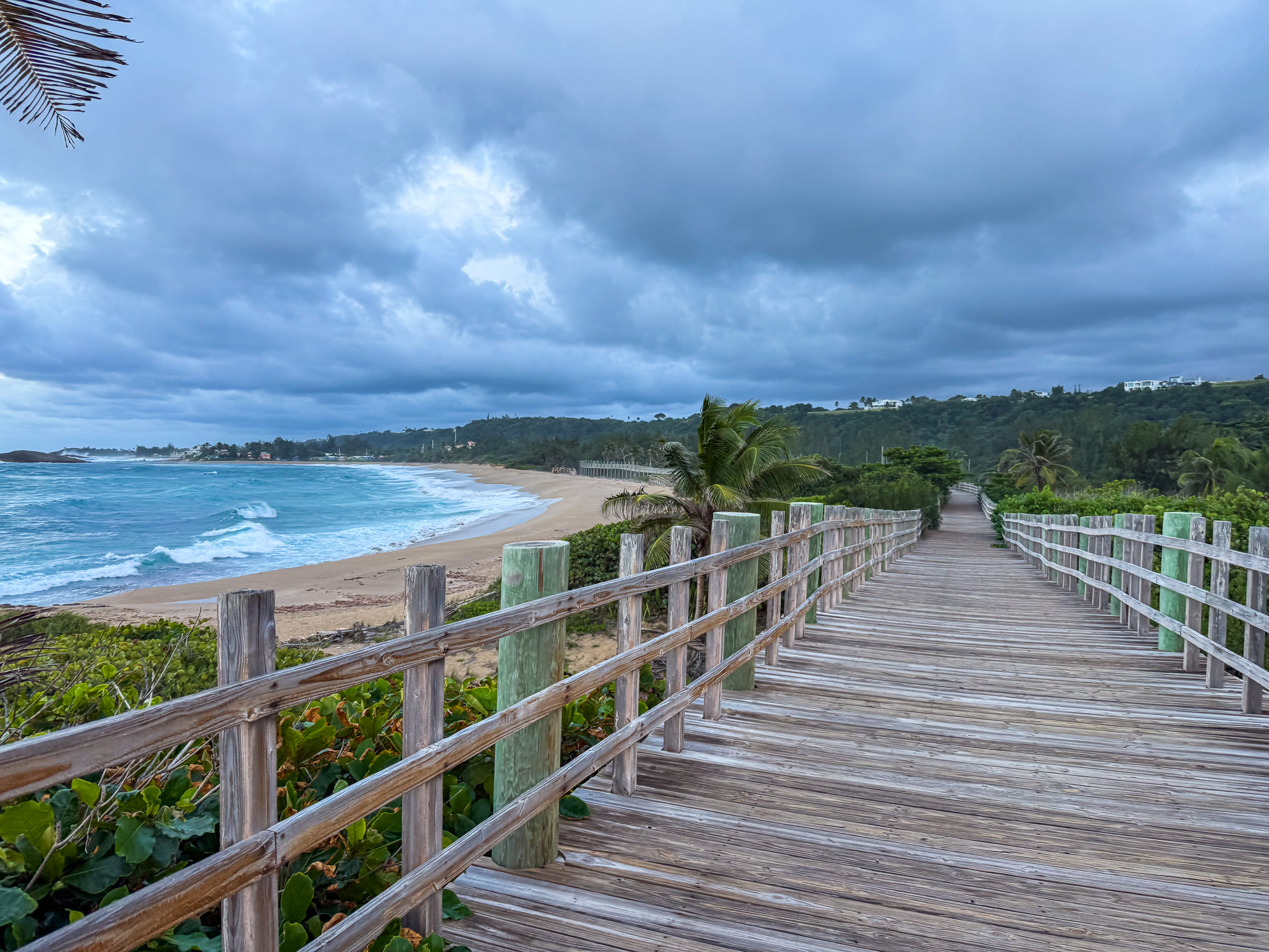 IMG 2384 North America