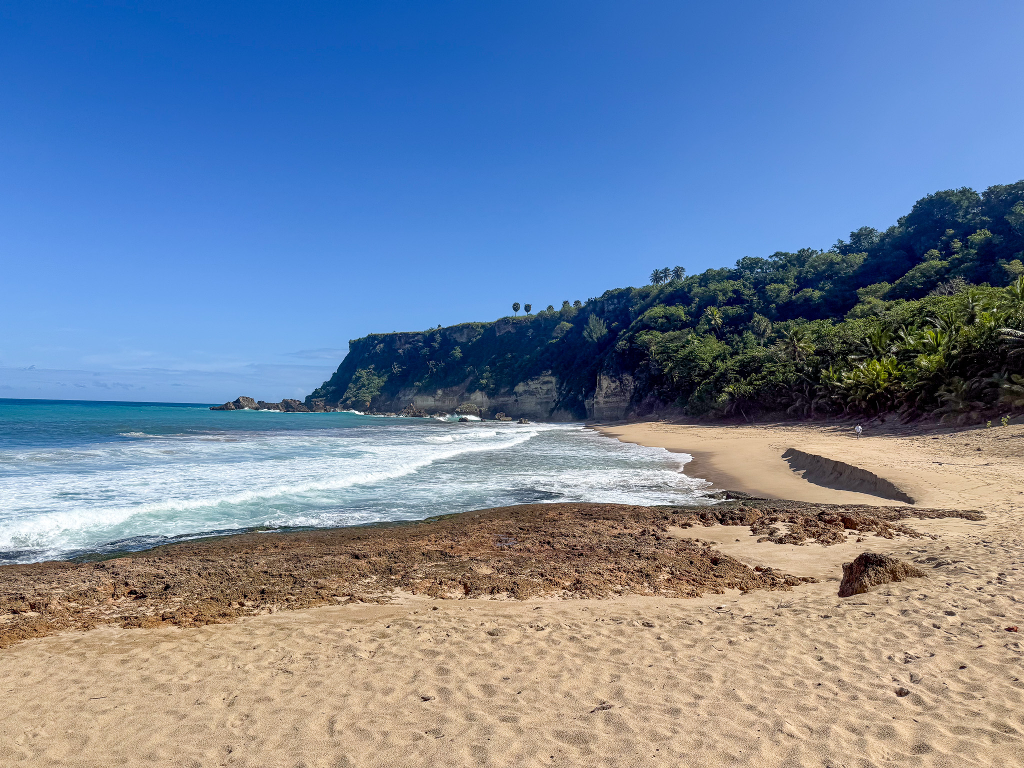 IMG 2453 North America