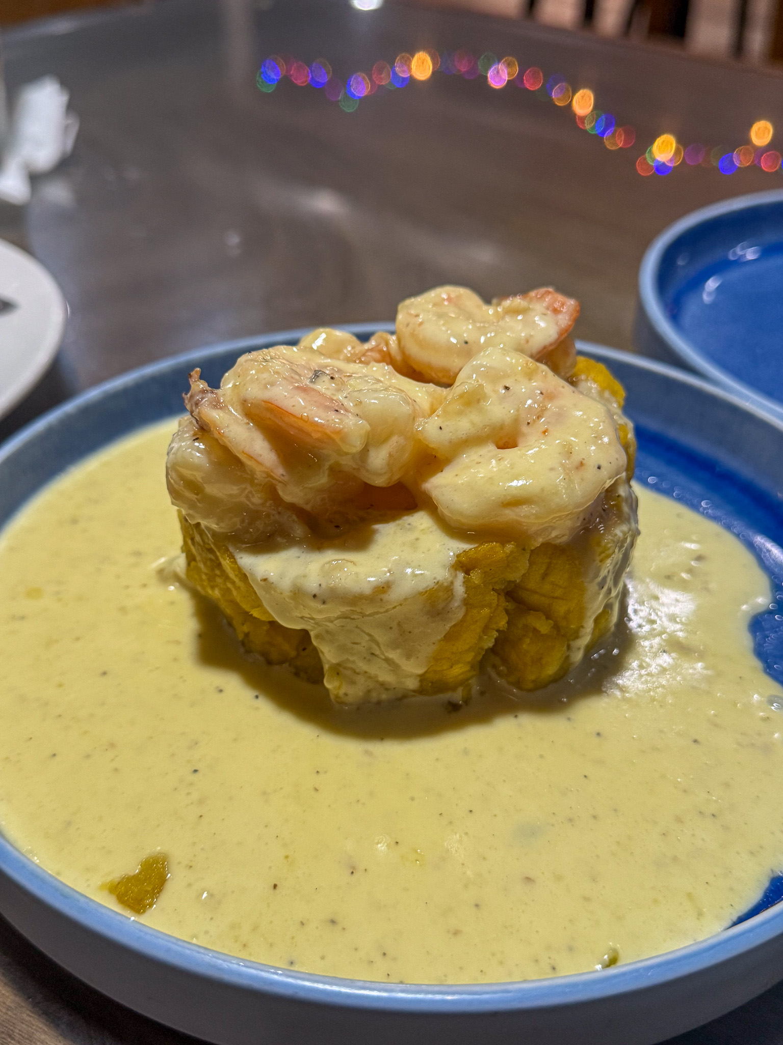 IMG 3053 North America