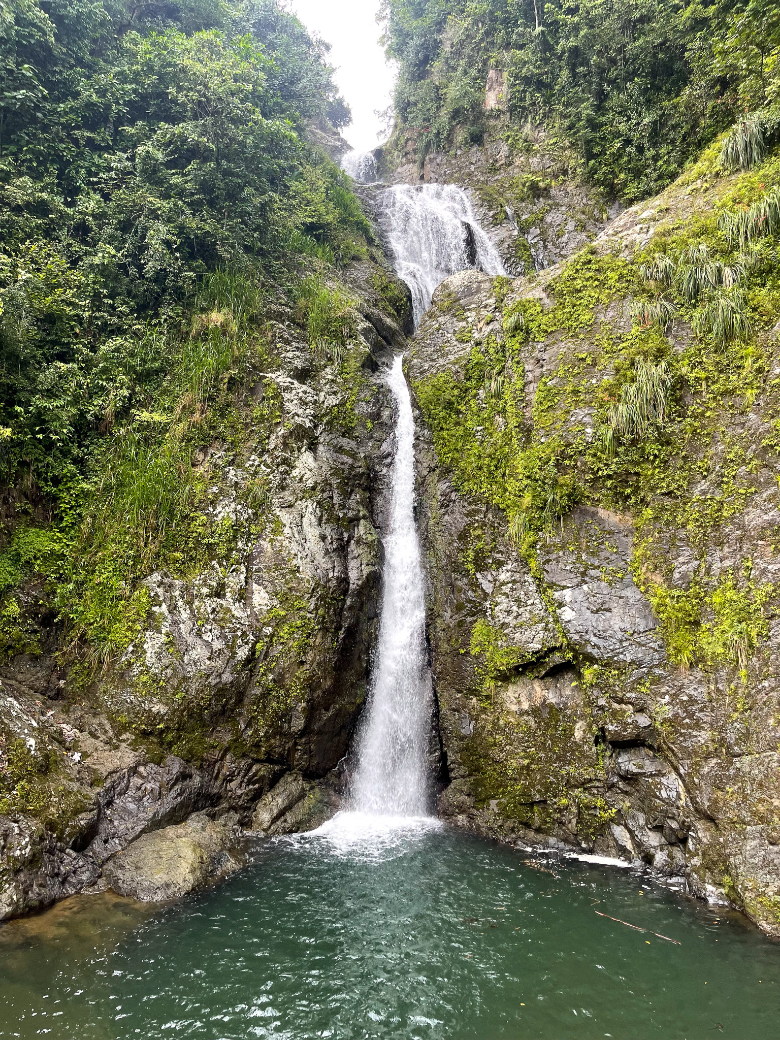 IMG 7520 North America