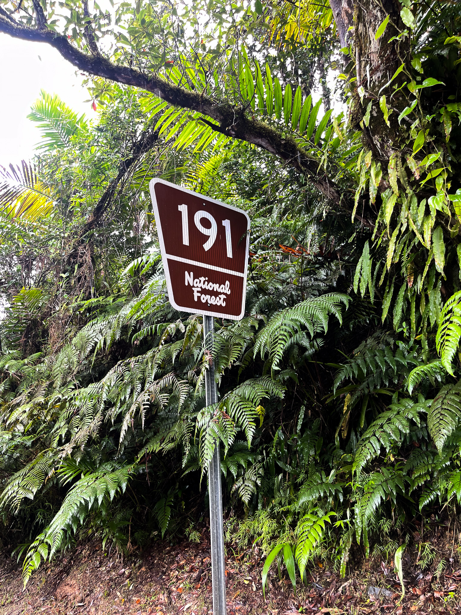 IMG 7683 North America