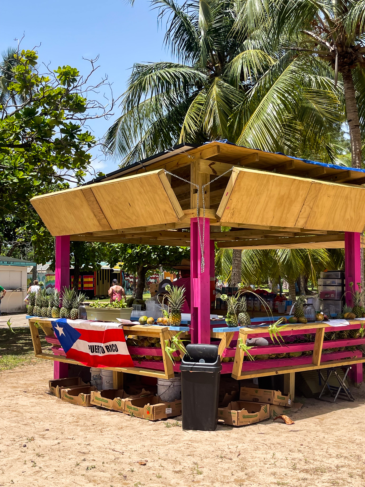 IMG 7696 North America