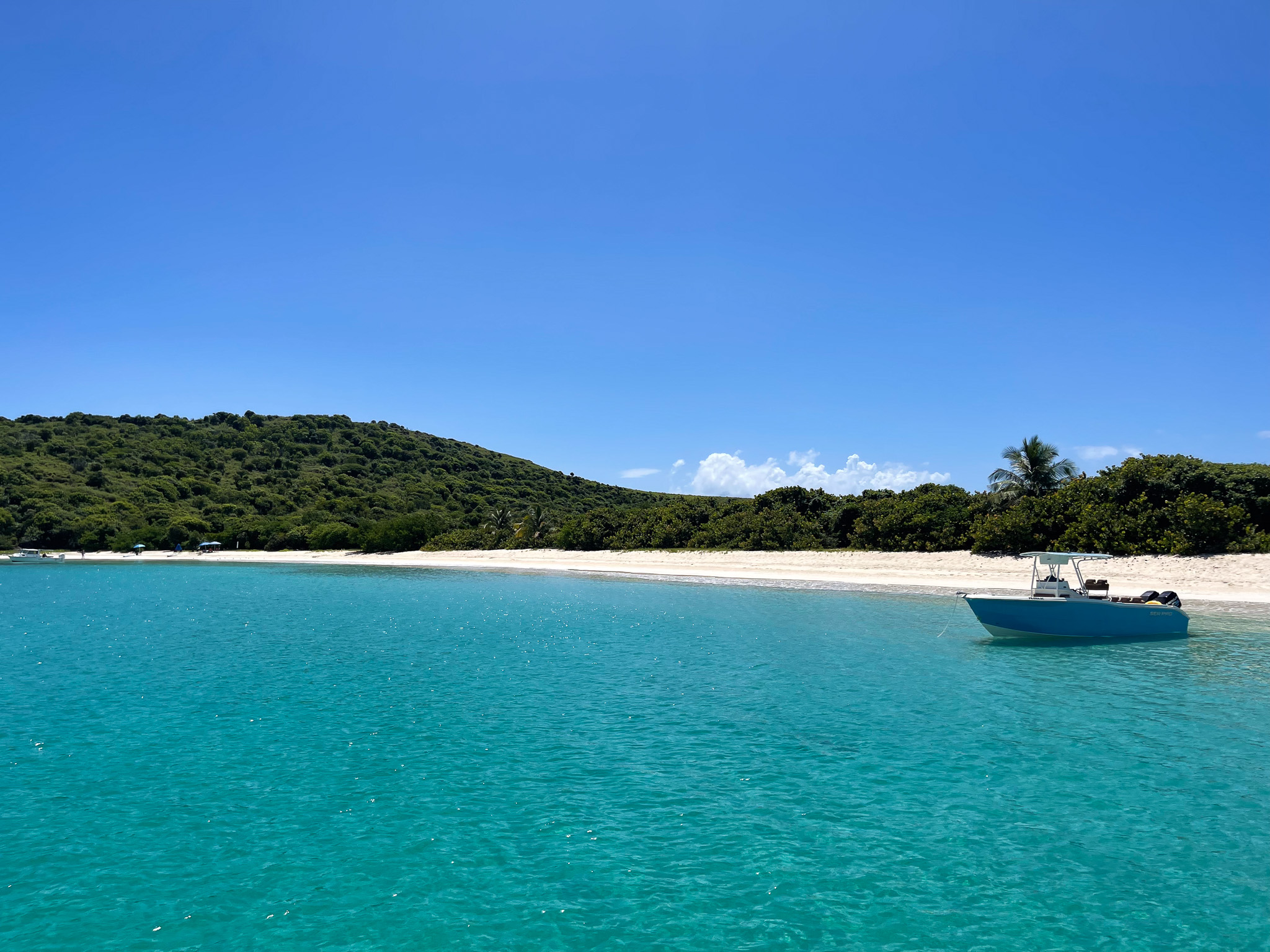 IMG 7918 North America