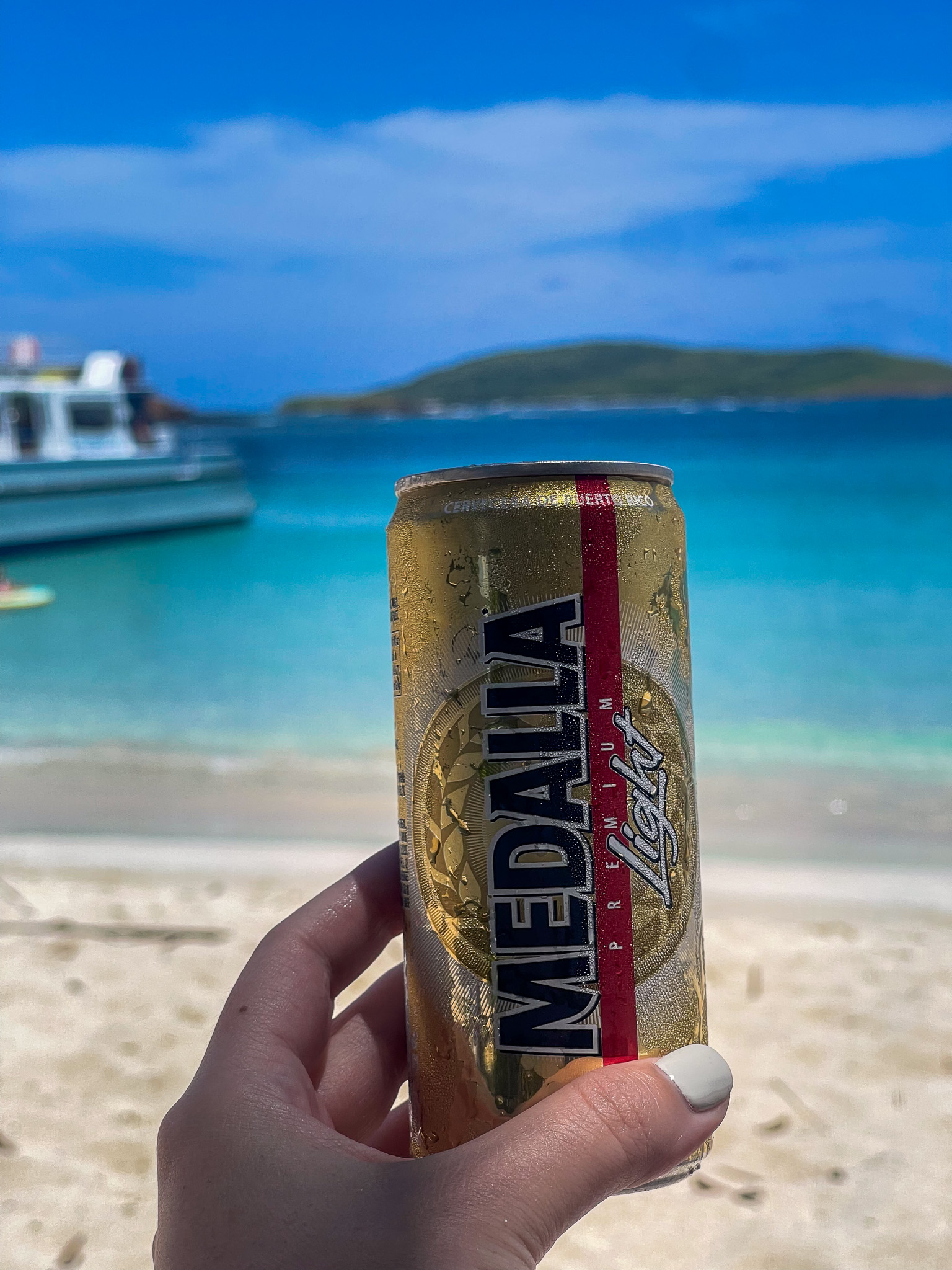 IMG 8023 North America