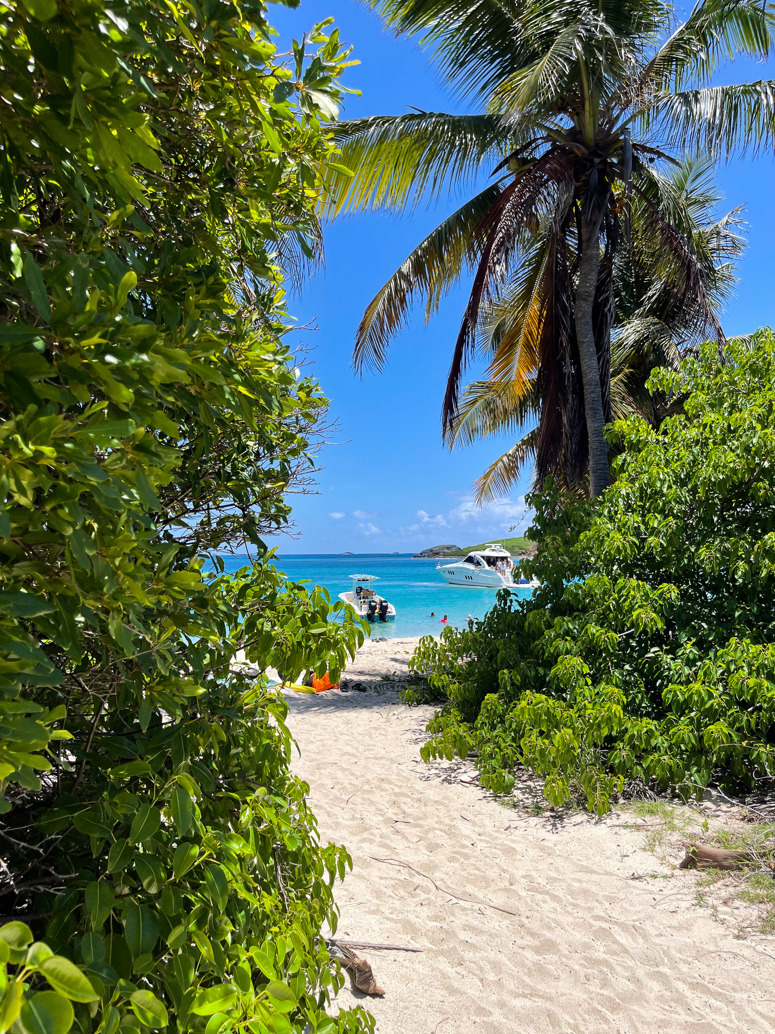 IMG 8077 North America